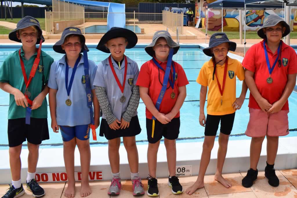 Primary Inter-house Swimming Carnival