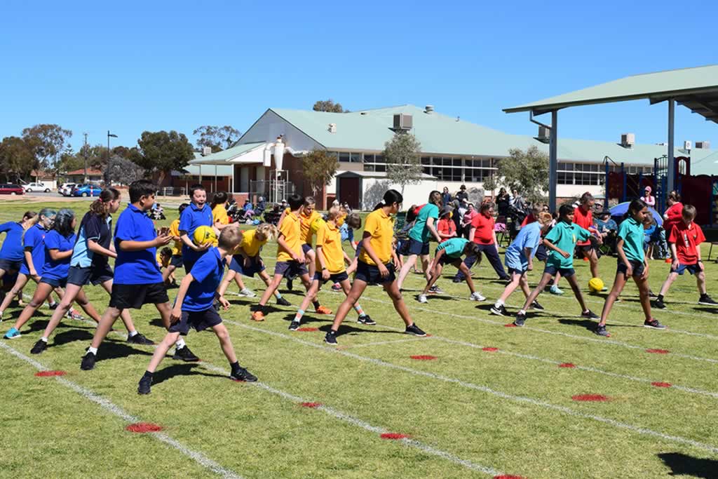 Primary Inter-house Athletics Carnival