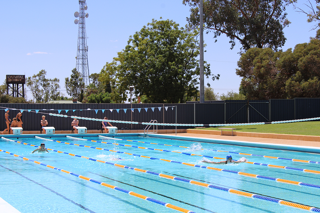 Year 3-12 Inter-house Swimming Carnival