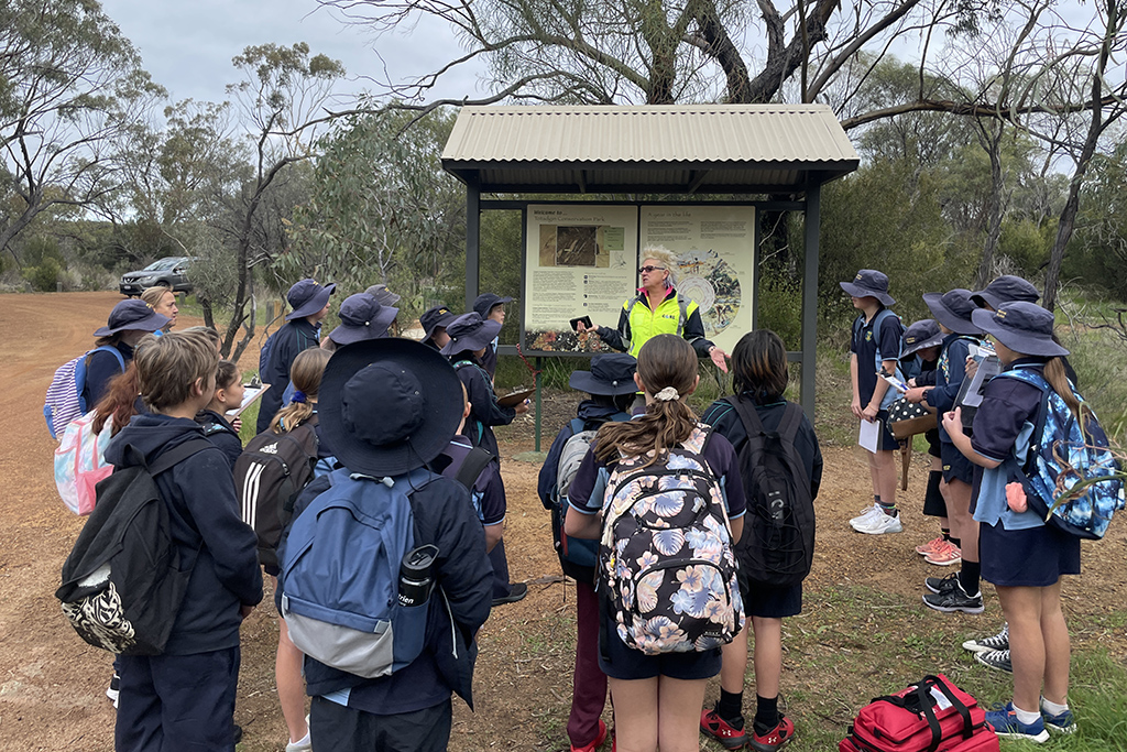 Year 6 CoRE Field Trip