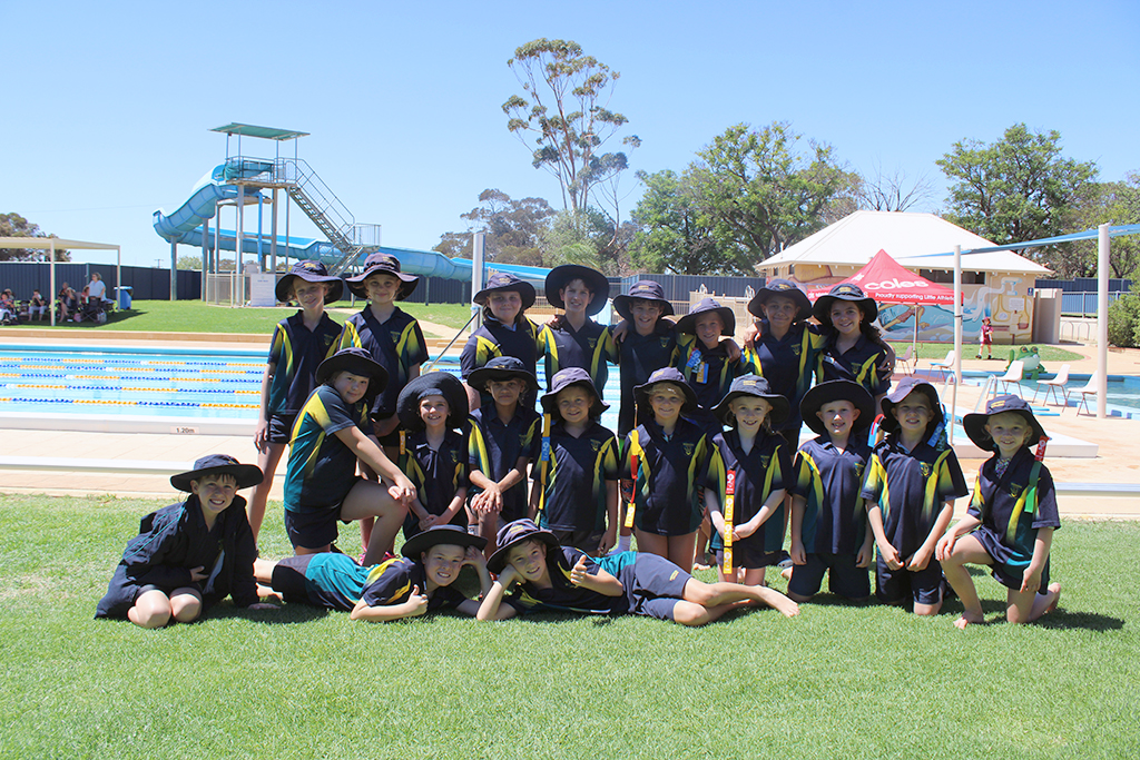Primary Interschool Swimming Carnival