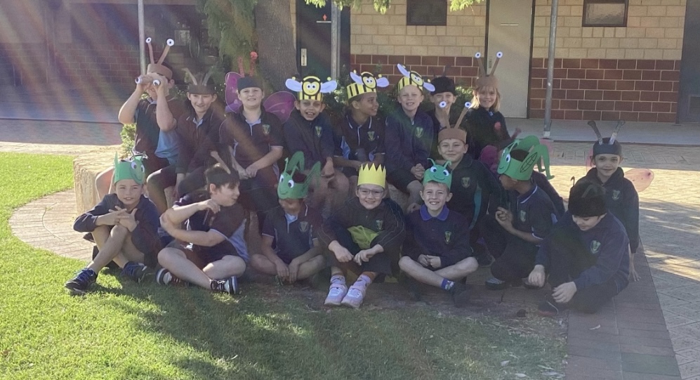 Year 3 – Term 2