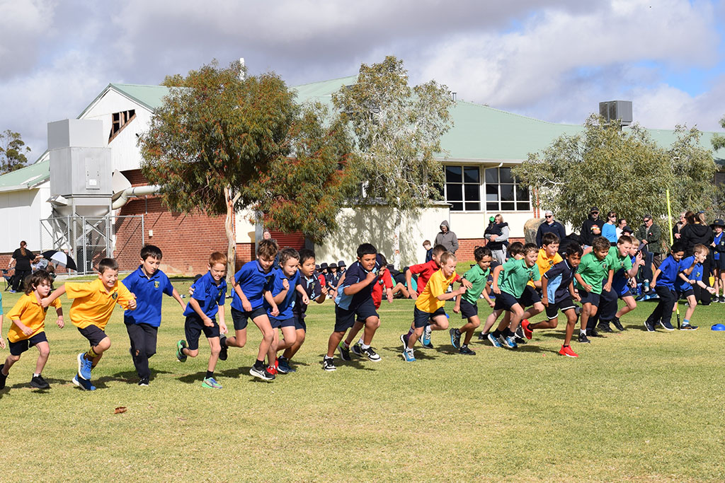Primary Interhouse Cross Country
